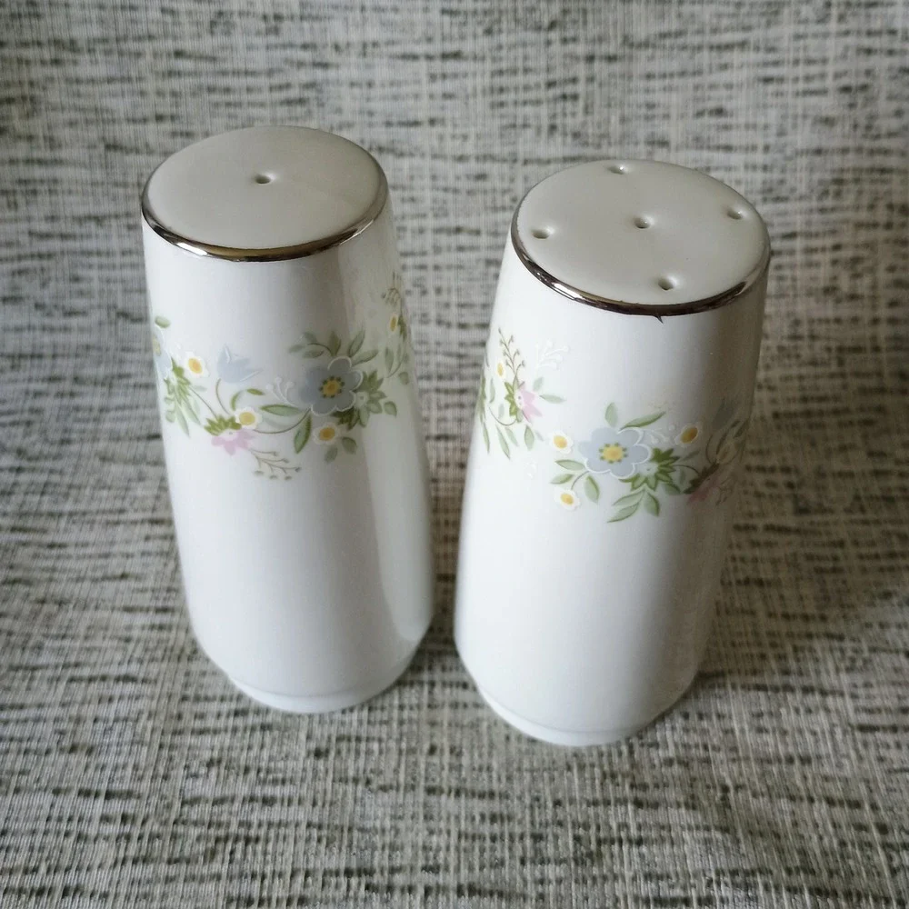 Johann Haviland Forever Spring Salt and Pepper Shakers Bavaria Germany Vintage